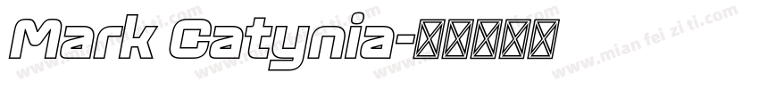 Mark Catynia字体转换